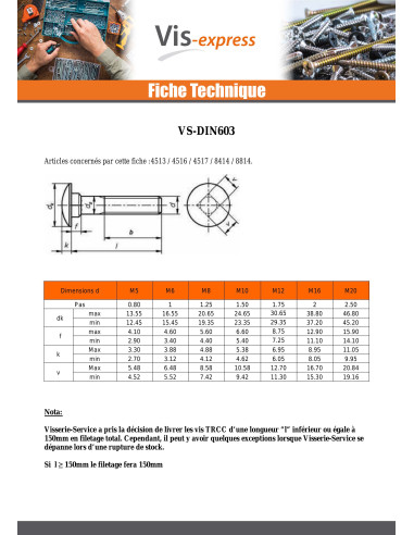 1 x TRCC JAPY tête ronde collet carré Inox A2...