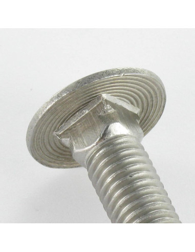 1 x TRCC JAPY tête ronde collet carré Inox A2...