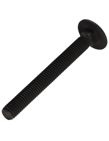1 x TRCC JAPY tête ronde collet carré Inox A2...