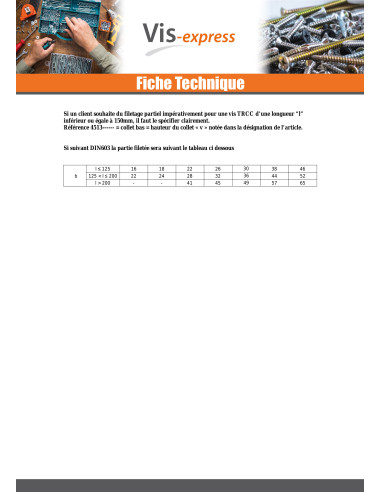 1 x TRCC JAPY tête ronde collet carré Inox A2...