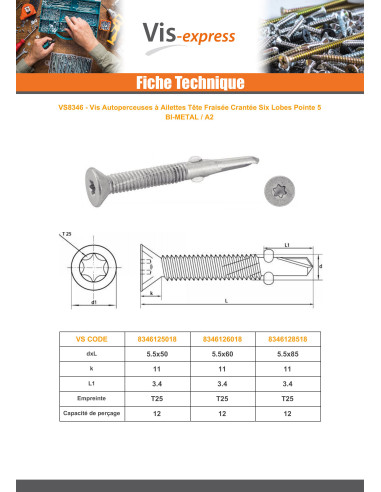 1 x Vis autoperceuse Bimétal Tête fraisée TORX...