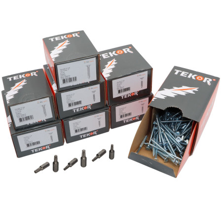 1 x TEKOR PACK PRO 1200 Vis Tête fraisée Cranté TORX Acier zingué
