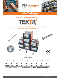 TEKOR PACK PRO 1200 Vis Tête fraisée Cranté TORX Acier... 2