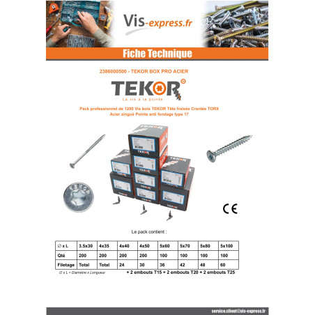 1 x TEKOR PACK PRO 1200 Vis Tête fraisée Cranté TORX Acier zingué