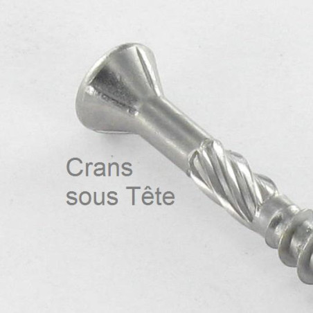 1 x Vis DECK TEKOR Tête fraisée bombée TFB TORX T20 4.5X60 Pointe antifendage type 17 Inox C2