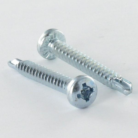 1 x Vis autoperceuse Tête cylindrique bombée TCB Carré phillips 4.8X50 Filet tôle Acier zingué
