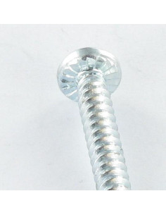 Vis autoperceuse Tête cylindrique bombée TCB Carré... 2