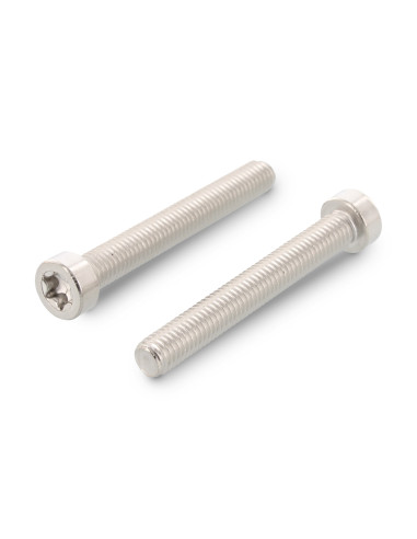 1 x Vis métaux Tête cylindrique TC Basse TORX...