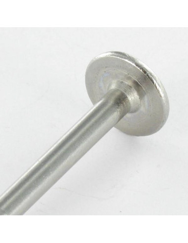 1 x Vis charpente tête disque Inox A2 8X280...