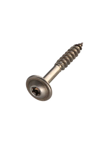 1 x Vis charpente tête disque Inox A2 10X60...