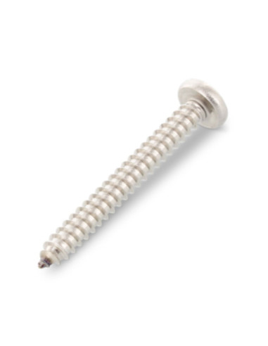1 x Vis tôle Tête cylindrique bombée TCB 3.5X22...