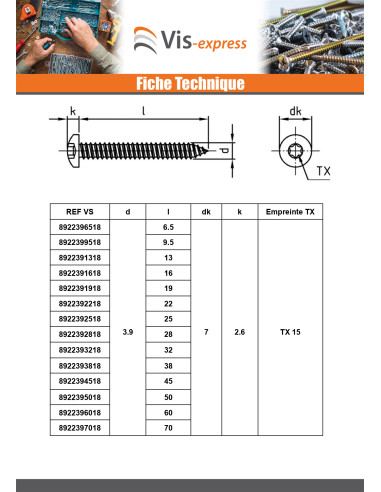 1 x Vis tôle Tête cylindrique bombée TCB 4.2X22...