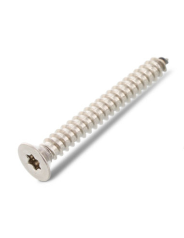 1 x Vis tôle Tête fraisée 3.9X19 TORX T15 Inox A4