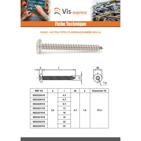 1 x Vis tôle Tête cylindrique bombée TCB 4.2X16 TORX T20 Inox A4