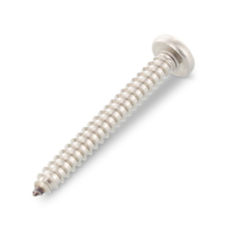1 x Vis tôle Tête cylindrique bombée TCB 5.5X100 TORX T25 Inox A4