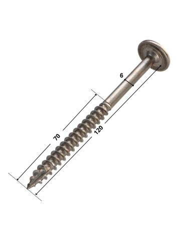 1 x Vis charpente tête disque Inox A2 6X120...