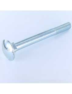 TRCC JAPY tête ronde collet carré M16X160 Filetage...
