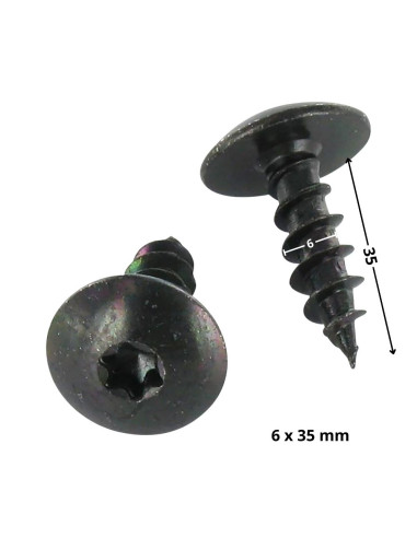 1 x Vis Penture 6X35 Filetage partiel TORX T30...