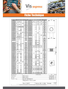 Ecrou carré M16 24X24X13 Acier zingué 2