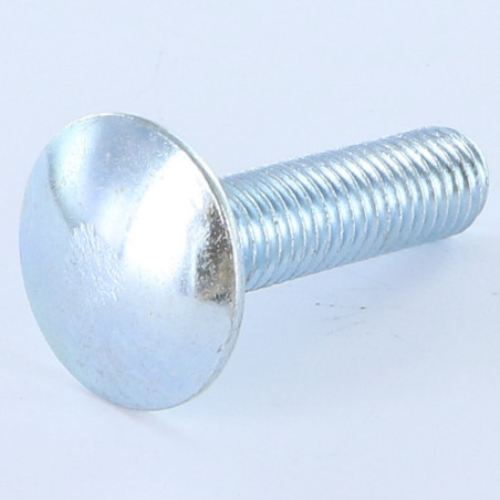 1 x TRCC JAPY tête ronde collet carré M10X20 Filetage total Classe 8.8 Acier zingué
