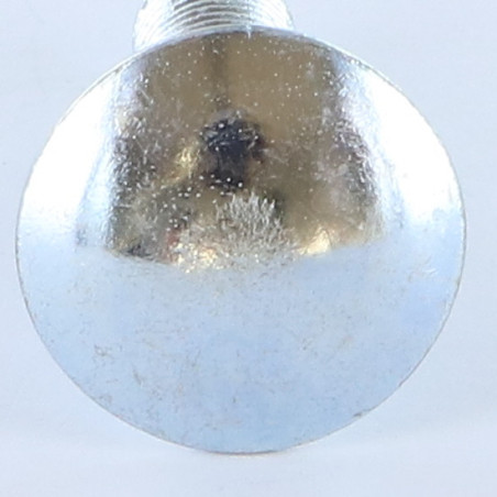 1 x TRCC JAPY tête ronde collet carré M10X20 Filetage total Classe 8.8 Acier zingué