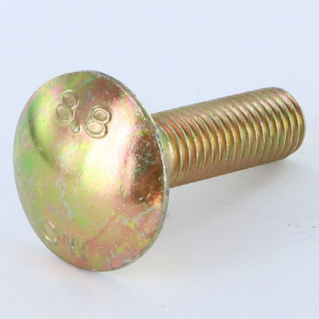 1 x TRCC JAPY tête ronde collet carré M10X20 Filetage total Bichromaté