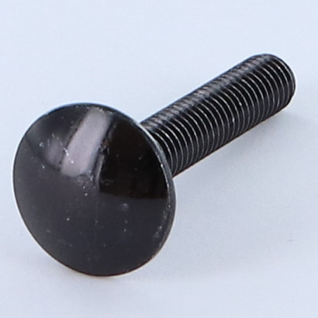 1 x TRCC JAPY tête ronde collet carré M6X45 Filetage total Acier zingué noir