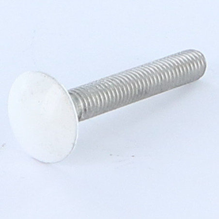 1 x TRCC JAPY tête ronde collet carré M7X40 Pas de 100 Filetage total Aluminium RAL9016 blanc signalisation 80%B