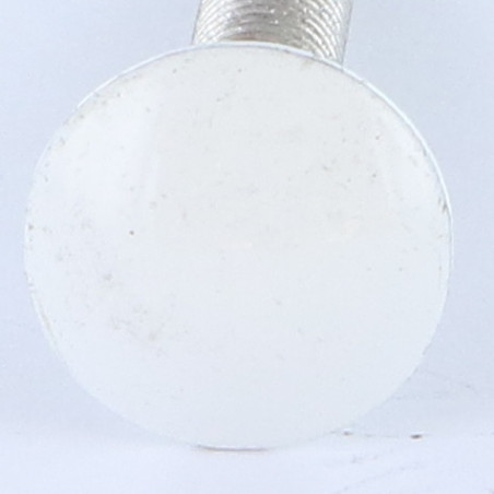 1 x TRCC JAPY tête ronde collet carré M7X40 Pas de 100 Filetage total Aluminium RAL9016 blanc signalisation 80%B