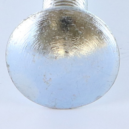 1 x TRCC JAPY tête ronde collet carré M10X100 Filetage total Acier zingué