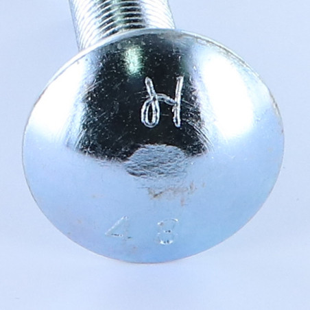 1 x TRCC JAPY tête ronde collet carré M16X50 Filetée sur 50 Classe 8.8 Acier zingué Diamètre de tête: 30 Carré 16