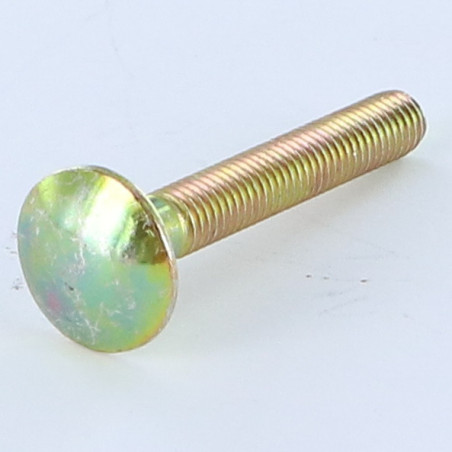 1 x TRCC JAPY tête ronde collet carré M8X50 Filetage total Bichromaté