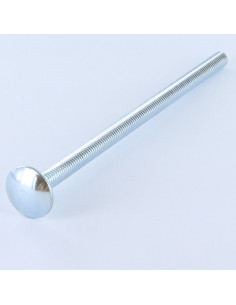 TRCC JAPY tête ronde collet carré M6X120 Filetage total...
