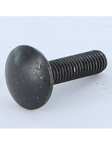 1 x TRCC JAPY tête ronde collet carré M6X20...