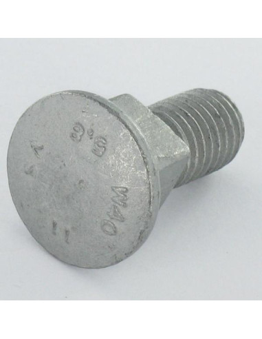 1 x TRCC JAPY tête ronde collet carré M10X25...