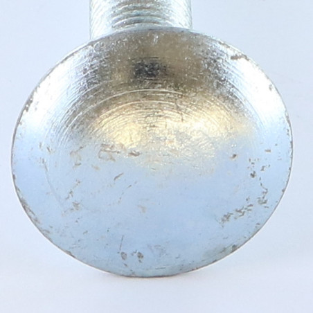 1 x TRCC JAPY tête ronde collet carré M12X100 Filetage total Acier zingué