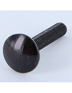 TRCC JAPY tête ronde collet carré M5X40 Filetage total...