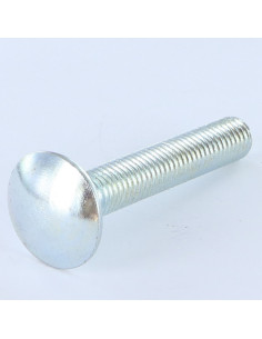 TRCC JAPY tête ronde collet carré M10X25 Filetage total...