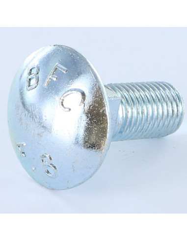 1 x TRCC JAPY tête ronde collet carré M16X50...