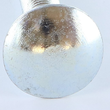 1 x TRCC JAPY tête ronde collet carré M10X25 Filetage total Acier zingué
