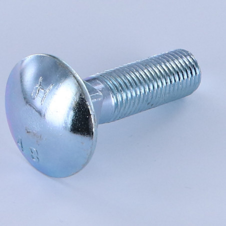 1 x TRCC JAPY tête ronde collet carré M16X50 Filetage total Classe 8.8 Acier zingué