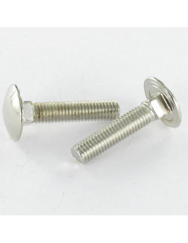 1 x TRCC JAPY tête ronde collet carré M5X25...
