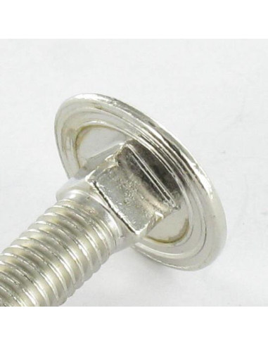 1 x TRCC JAPY tête ronde collet carré M5X25...