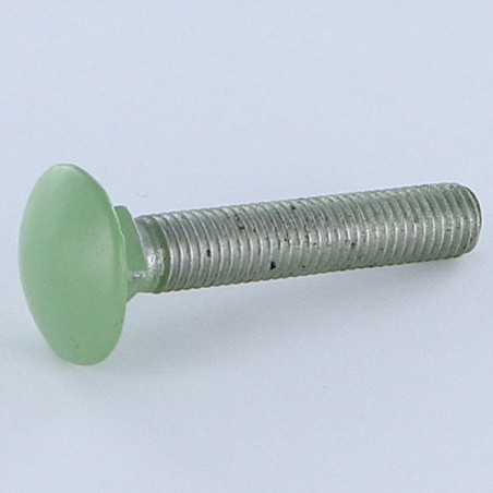 1 x TRCC JAPY tête ronde collet carré M7X45 Pas de 100 Aluminium Filetage total RAL6021 vert pale 30%B