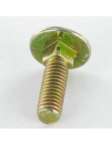 1 x TRCC JAPY tête ronde collet carré M8X70...