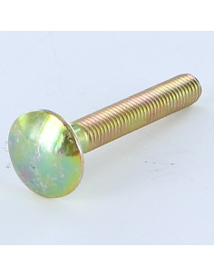 TRCC JAPY tête ronde collet carré M5X35 Filetage total...