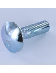 TRCC JAPY tête ronde collet carré M16X60 Filetage total...