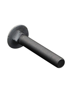 TRCC JAPY tête ronde collet carré M7X45 Pas de 100... 2