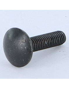 TRCC JAPY tête ronde collet carré M5X20 Filetage total...