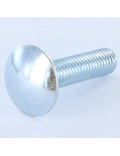 TRCC JAPY tête ronde collet carré M10X20 Filetage total...